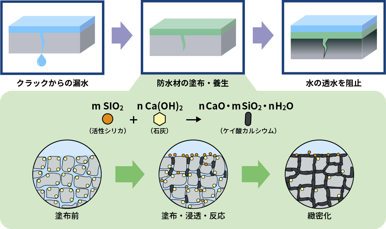 浸透性コンクリート強化保護材のメカニズム